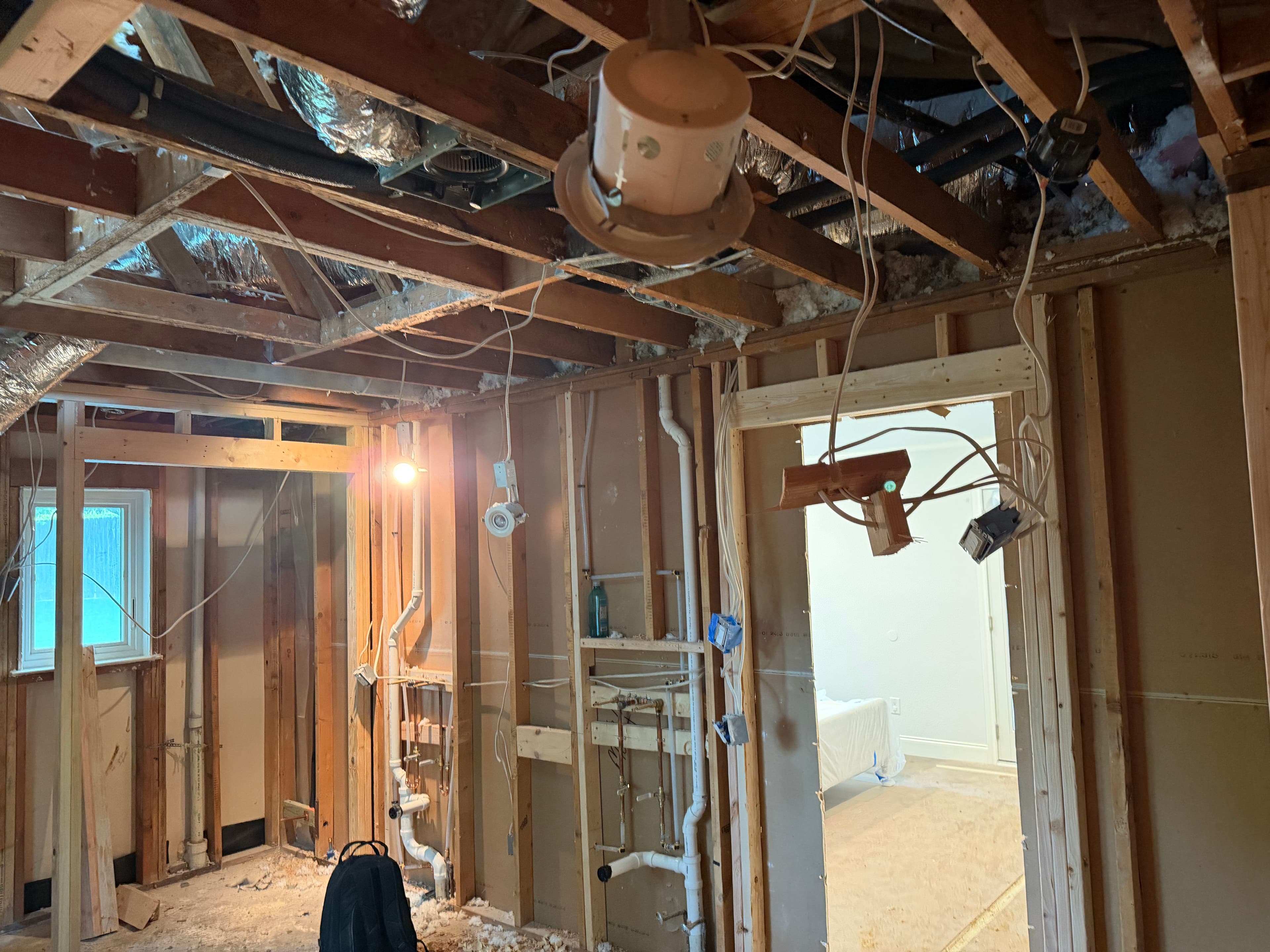 Project Inside a Bathroom Remodel Before the Walls Close Up image
